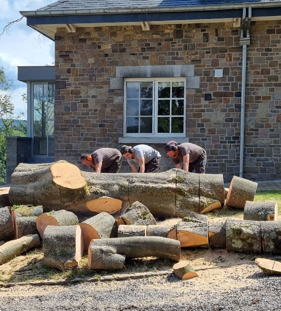 découpe d'un tronc d'arbre