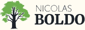 logo Nicolas Boldo