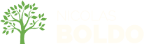 logo Nicolas Boldo